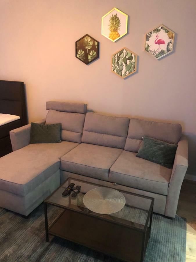 Apartament Flaming Z Balkonem - Scisle Centrum Naprzeciwko Pkp I Pks - Self Check In - Darmowy Parking - Pozne Wymeldowanie - Wystawiamy Fv 奥普尔 外观 照片